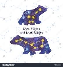 Ursa Minor Tattoo, Ursa Major Tattoo, Ursa Major Ursa Minor, Seal Tattoo, Cubs Tattoo, Ursa Minor, Bear Tattoos, Ursa Major, Bear Tattoo