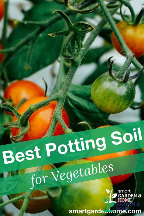 Growing vegetables in pots is a great space-saving alternative to growing them in the ground. Especially if you live in an apartment or don’t have a big backyard for a vegetable garden. We'll show you the best potting soil for your Vegetables. https://smartgardenhome.com/gardening-how-to/potting-soil/best-for-vegetables/?utm_source=pinterest&utm_medium=smartgardenhome&utm_campaign=publer #vegetablessoil Grow Food Inside, Grow Vegetables Indoors, Vegetables In Pots, Growing Vegetables Indoors, Growing Vegetables In Pots, Grow Vegetables, Big Backyard, Garden Pest Control, Smart Garden