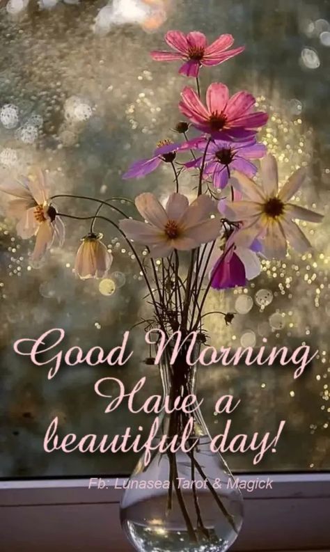 Good Morning Spring Images, Good Morning Sister, Good Morning Greeting Cards, Good Morning Funny Pictures, Daily Greetings, Good Morning Sunshine Quotes, Good Morning Inspiration, Daily Blessings, Good Morning Nature