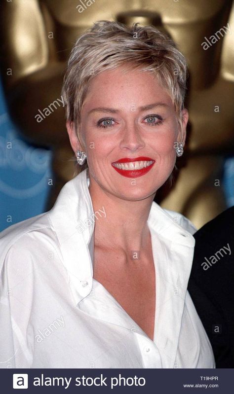 Short Hair From The Back, Sharon Stone Short Hair, Sharon Stone Hairstyles, Short Hair Men, Spiky Haircut, Short Hairstyles Over 50, Super Short Haircuts, Choppy Haircuts, Women Short Hair