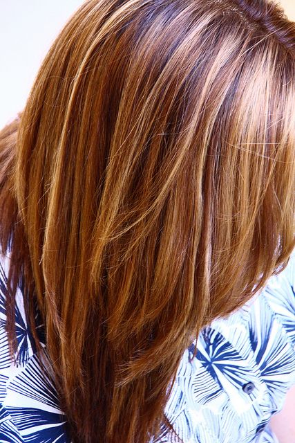 Warm Brown with blonde and honey highlights by Linda Mariano, via Flickr Blonde And Honey Highlights, Brown With Blonde, Honey Highlights, Dark Brown Hair Color, Hair Color And Cut, Brown Hair With Highlights, Dark Brown Hair, Warm Brown, Brown Hair Colors