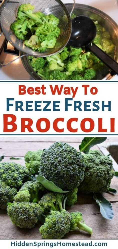 Can You Freeze Broccoli, How To Freeze Broccoli, Freeze Broccoli, Blanching Broccoli, Food Alternatives, Freezing Vegetables, Freezing Fruit, Freezing Food, Frozen Broccoli