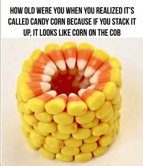 HOW OLD WERE YOU WHEN YOU REALIZED IT'S CALLED CANDY CORN BECAUSE IF YOU STACK IT UP, IT LOOKS LIKE CORN ON THE COB Harvest Festival Crafts, I Was Today Years Old, Today Years Old, Charlie Brown Thanksgiving, Holiday Centers, Orange Candle, Thanksgiving Day Parade, The Way I Feel, Corn On The Cob