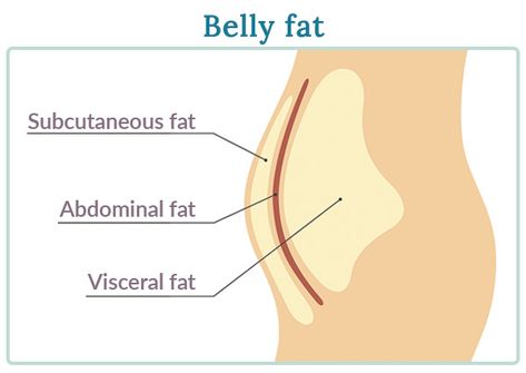 Lose belly fat in 5 steps How To Get Rid Of Meno Belly, Losing Hormonal Belly, Hormonal Belly Remedies, How To Get Rid Of Gut Fat Lose Belly, Get Rid Of Hanging Belly, Premenopausal Diet, Meno Belly, Menopausal Belly, Belly Pics