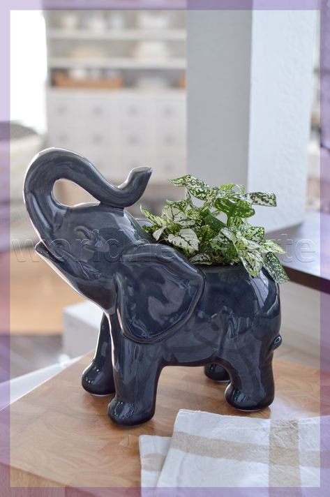 momoiro clover z decoration Elephant Ceramics Ideas, Garden Pottery Ideas, Aesthetic Elephant, Elephant Aesthetic, Elephant Decorations, Elephant Plant, Animal Home Decor, Elephant Wallpaper, Elephant Home Decor