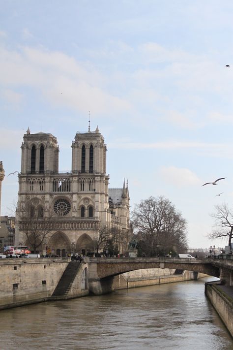 Notre Dame Cathedral Wallpaper, Paris Notre Dame Cathedral, Notre Dame Cathedral Aesthetic, Notre Dame Aesthetic, Notre Dame Wallpaper, Paris Notre Dame, Notre Dame Cathedral, Gothic Cathedral, Paris Pictures