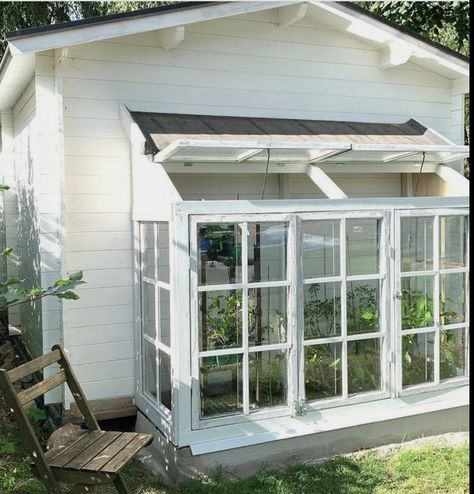 House With Windows, Old Window Greenhouse, Window Greenhouse, Diy Greenhouse Plans, Bush Garden, Lean To Greenhouse, Outdoor Greenhouse, Greenhouse Shed, Lean To