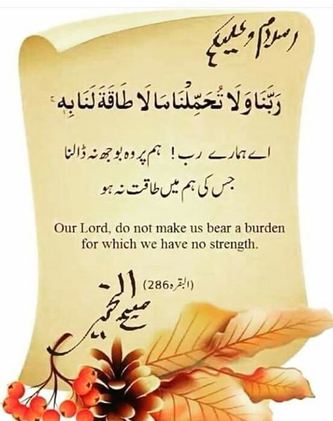 Subh Bakhair, Suba Bakhair, Subah Bakhair, Morning Dua, Friday Wishes, Good Morning Arabic, Morning Quotes Images, Assalamualaikum Image, Beautiful Morning Messages