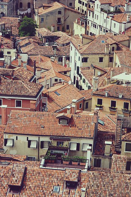 Venice rooftops Venice Rooftop, Venice Italy Beaches, Venice Italy Food, Venice Italy Gondola, Venice Italy Photography, Travel Venice, Chimney Pots, Italy Winter, Sloped Roof