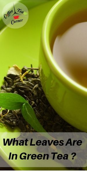 What Leaves Are In Green Tea ? (What Your Fave Tea Is Made Of) What Is Green Tea, Green Tea Uses, Gyokuro Tea, Green Tea Leaves, Green Tea Recipes, Assam Tea, Best Green Tea, Tea Plant, Chinese Greens