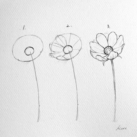 Draw Flowers Watercolor, Flowers Korean, Ako Kresliť, Easy Flower Drawings, Flower Step By Step, Arte Doodle, Draw Flowers, Flower Drawing Tutorials, Flower Art Drawing