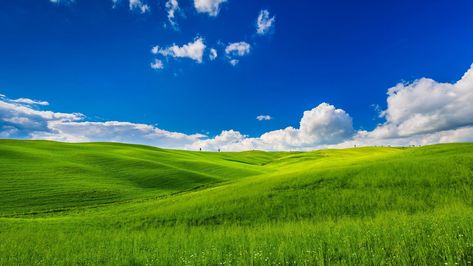 Sky And Grass Background, Wallpaper Ipad Air, Farm Poster, Pics For Editing, Hd Landscape, Background Environment, Calming Nature, Field Wallpaper, Grass Background