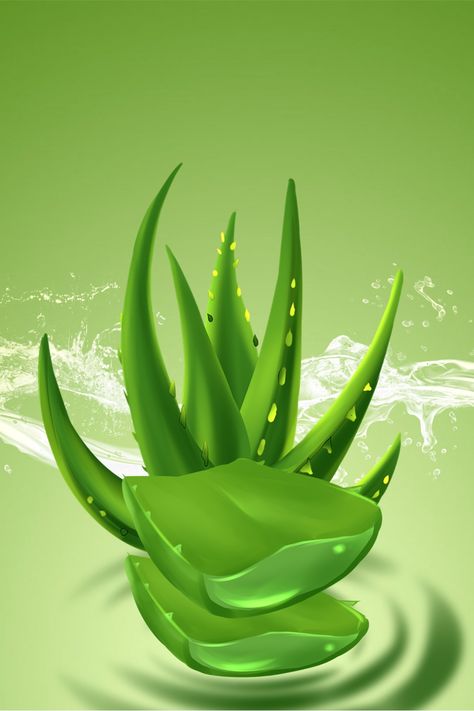 Aloe vera, hydrating, product, green, plant, starlight, gradient, water droplets Aloe Vera Wallpaper, Green Tea Plant, Healthy Nutrition Plan, Fresh Aloe Vera, Logo Design Free Templates, Plant Background, Plant Images, Prints Design, Wallpaper Photos