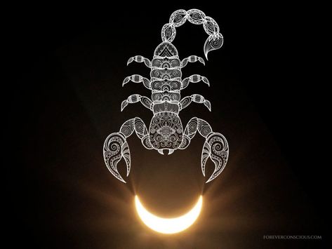 Intuitive Astrology: Scorpio New Moon Solar Eclipse October 2022 - Forever Conscious October New Moon, Vampire Rave, Scorpio New Moon, New Moon Solar Eclipse, New Moon In Scorpio, Eclipse Season, Blood Moon Eclipse, Moon In Scorpio, Astrology Scorpio