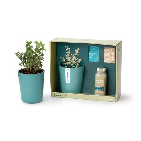 Just Breathe Eucalyptus Spa Gift Set Plant Box Design, Employee Holiday Gifts, Cheap Valentines Day Gifts, Modern Desk Accessories, Eucalyptus Plant, Seed Kit, Spa Gift Set, Retail Ideas, Plant Box