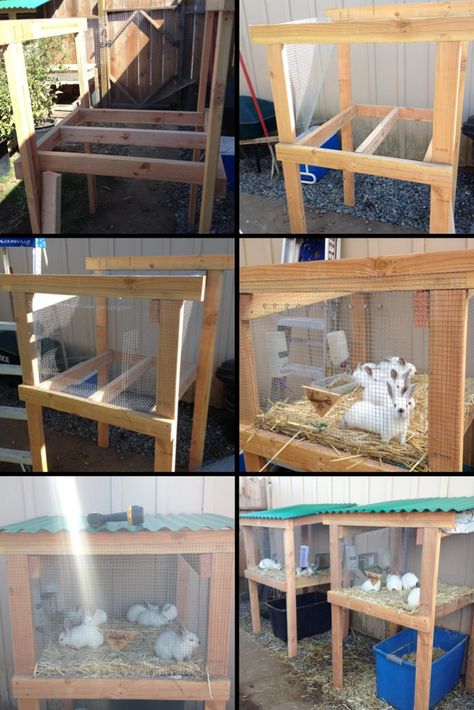 As the baby rabbits grow bigger, new cages must be built. Like any first time project, there is always trial and error. Since our first litter, we have made a few changes to our design that i believe will help make our second go around much smoother and efficient. Rabbit Breeding Cage Setup, Rabbit Grow Out Cage, Simple Rabbit Cage, 2 Story Rabbit Cage, Rabbit Coop Ideas, Bunny Hutches Outdoor, Simple Rabbit Hutch, Rabbit Cages Outdoor, Rabbit Hutch Plans