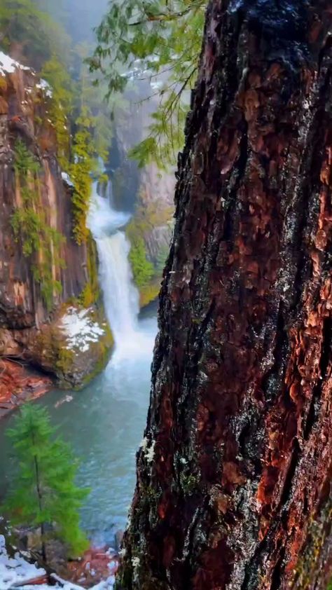 Usa Beautiful Places, Falls Video, Places Video, Toketee Falls, Amazing Places On Earth, Oregon Usa, Beautiful Waterfalls, Incredible Places, Scenic Landscape