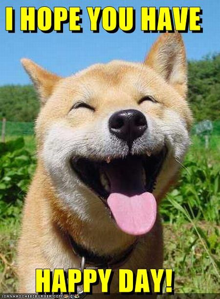 We hope you have a happy day! =D Smiling Animals, Smiling Dogs, 웃긴 사진, Sweet Dogs, Happy Animals, Cute Kittens, Animals Of The World, Peter Parker, Baby Dogs