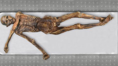 A new look at Ötzi the Iceman's DNA reveals new ancestry and other surprises Otzi The Iceman, Ötzi The Iceman, Dna Analysis, Molecular Genetics, Jason Priestley, History Questions, The Iceman, Ancestry Dna, Male Pattern Baldness