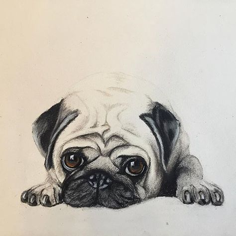 Pet Portrait Tattoos, Tatoo Dog, Anjing Pug, Pug Tattoo, Portrait Tattoos, Dog Pop, Dog Pop Art, Pugs And Kisses, Baby Pugs