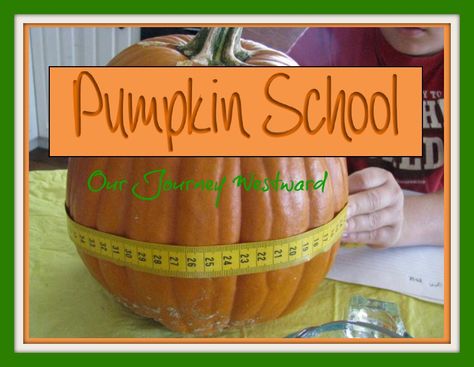 Pumpkin School Pumpkin Math, Pumpkin Unit, Fall Science, Homeschool Holidays, October Ideas, Pumpkin Activities, Learn To Spell, Fall Kindergarten, Homeschool Help