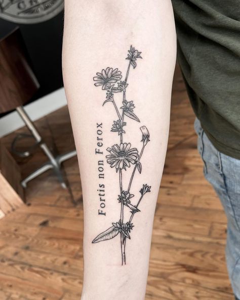 Chicory Flower Tattoo, Chicory Tattoo, Appalachian Tattoo, Harmony Tattoo, Aesthetic Tattoo Ideas, Floral Arm Tattoo, Fox Tattoo Design, Unique Tattoo Ideas, Nature Tattoo Sleeve