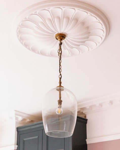 House of Hamiltons | Ornate ceiling rose paired with an understated brass pendant. Ceiling rose - @plasterceilingroses Light - @pookylights #interiorstyle… | Instagram Ceiling Rose Lighting, Ornate Ceiling, Plaster Ceiling Rose, Plaster Coving, Rose Molds, 1930's Style, Blue Ceilings, Plaster Ceiling, Diy Ceiling