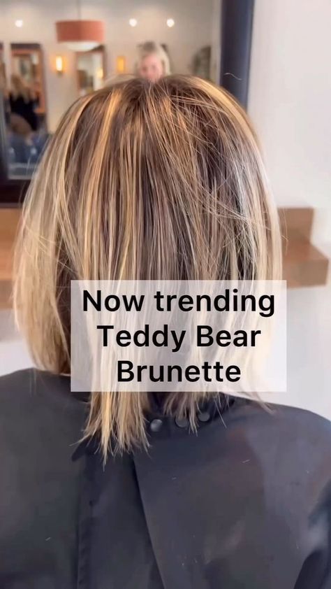 21K views · 487 reactions | Delivered beyond that inspo picture 🙌@hairbylisamathews ・・・ Blonde to Teddy Bear brunette 🔄 This might look like an easy transformation but as you all know taking a blonde to brunette can be very tricky. After a thorough consultation we figured out what we needed to do to get her to her goal. We were both OBSESSED with how it turned out. What do you think? Have questions drop them below 👇 #reversebalayage #balayagehair #haireducator #hairtransformation #showmethe Teddy Bear Brunette Hair, Teddy Bear Blonde Hair, Teddy Blonde Hair, Teddy Bear Blonde, Blonde To Brunette, Reverse Balayage, Curled Updo, Brunette Bob, Textured Bob