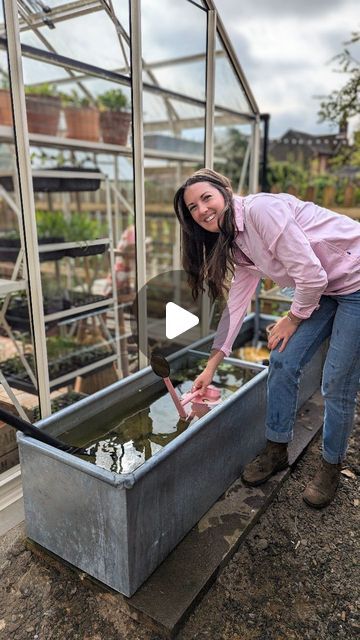 Amy - Growing the good life and chicken keeping on Instagram: "I've added a dipping tank to my new greenhouse! My husband actually said to me 'you can't put one of those ugly water butts on your new greenhouse' 😂 and to be fair, he's right! Inspired by some I've seen on gardeners world, I did some research and went to pick up this animal water trough from a country store. The rain we've had put it good use pretty quickly! And I've been slowly adding some pond plants to make this a real feature. I've added a solar fountain and need to add some more pebbles etc to keep the plants in place but it's slowly coming together... ⛲

This is a work in progress so I hope to show you how it develops over summer! ☀️ What do you think? 

#watering #greenhouse #dippingtank #savewater" Water Butts, Tennessee House, Gardeners World, Chicken Keeping, Water Trough, Solar Fountain, Pond Plants, Water Collection, Garden Water