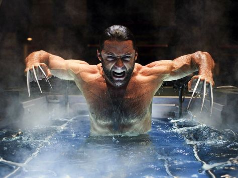 Image detail for -Hugh Jackman Wallpaper 6-1024 Berserker Rage, Wolverine 2009, Wolverine Movie, The Wolverine, Celebrity Bodies, Wolverine Hugh Jackman, Celebrity Workout, Fountain Of Youth, Man Movies