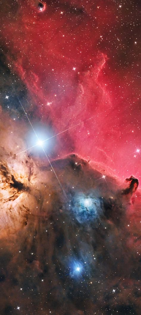 The Horsehead & Flame Nebula & Bright star Alnitak by Marzena Rogozińska cropped mobile wallpaper 1080x2400 Galaxia Wallpaper, Full Blue Moon, Space And Universe, Horsehead Nebula, Nature Shapes, Space Things, Galaxy Aesthetic, Space Nebula, Full Blue