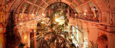 Best Bars Vienna ~ Palmenhaus Vienna Palmenhaus, Vienna Bars, Europe 2023, Night Bar, Jazz Bar, Best Bars, Bar Top, Cool Bars, Restaurant Bar