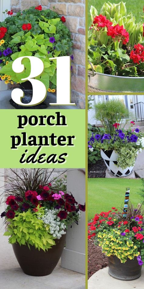 Are you looking for ideas and inspiration for your summer planters? These are all flower pots that I have personally seen and photographed. Patio Planter Ideas Plant Pots, Porch Planter Ideas, Front Porch Flower Pots, Patio Flower Pots, Porch Planter, Potted Plants Patio, Front Porch Plants, Front Porch Flowers, Summer Planter