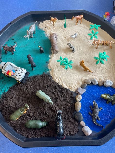 Zoo Animal Tuff Tray Ideas, Jungle Animal Tuff Tray Ideas, Zoo Tuff Tray Ideas, Zoo Tuff Tray, Animal Tuff Tray Ideas, Animal Tuff Tray, Wild Animals Activity, Tuff Spot Ideas, Jungle Animals Preschool