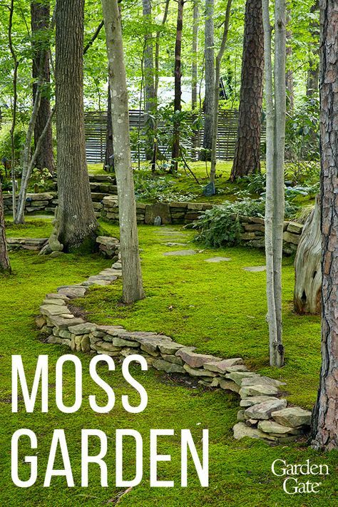 Check out David Spain's magnificent moss garden #DreamGarden #Moss #GardenDesign #GardenGateMagazine Moss Lawn, Moss Garden, Have Inspiration, Forest Garden, The Secret Garden, Home Landscaping, Woodland Garden, Garden Yard Ideas, Garden Cottage