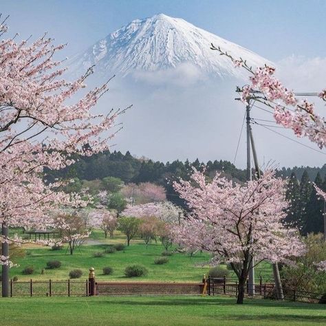 Cherry Blossom Japan, Japanese Landscape, Japan Aesthetic, Mt Fuji, Aesthetic Japan, Japanese Aesthetic, Spring Aesthetic, Instagram Food, Pretty Places