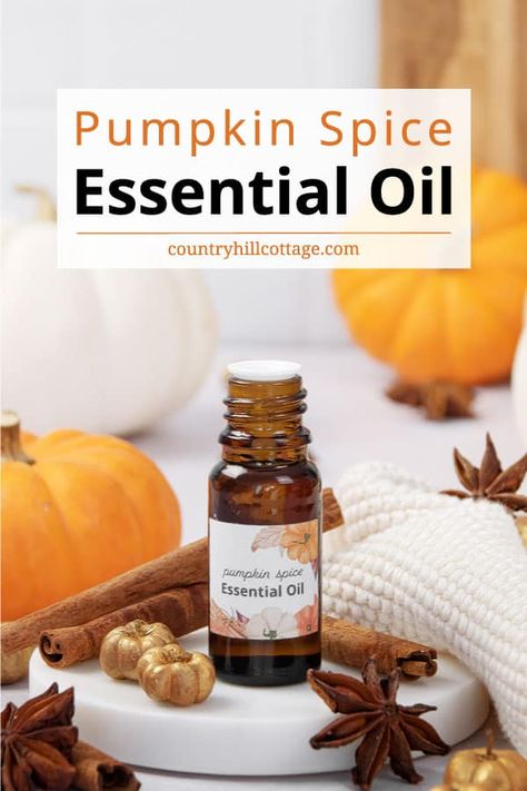 Cuticle Oil Diy, Pumpkin Spice Essential Oil, Pumpkin Essential Oil, Diy Pumpkin Spice, Essential Oil Perfumes Recipes, Bath Powder, Homemade Pumpkin Spice, Spice Mix Recipes, Pumpkin Spice Candle