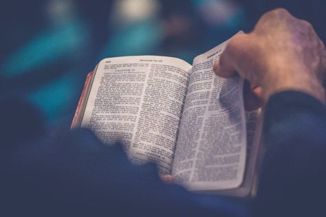 What’s Really Behind Your Bible Study Struggle | Phylicia Masonheimer Woord Van God, Open Bible, Psalm 51, Bible Pictures, Psalm 46, Jesus Christus, Read Bible, New Testament, Holy Bible