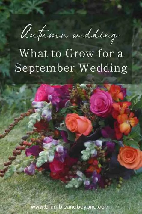 Autumn Flower Wedding: What to Grow for a September Wedding 1 September Flowers In Season, September Wedding Centerpieces, Grow Your Own Wedding Flowers, Wedding Flowers Decorations, September Wedding Flowers, Wildflower Wedding Theme, Wedding September, Autumn Diy, Fall Garden Wedding