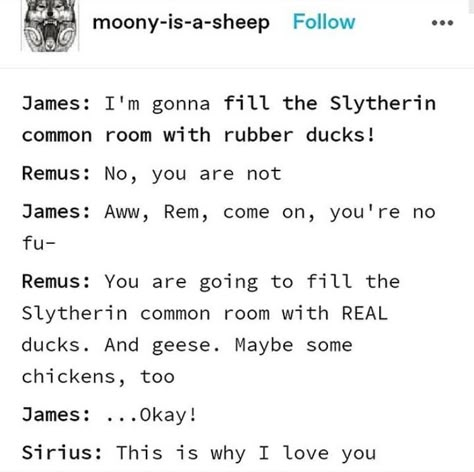 Marauders James Potter, Remus Lupin Marauders, Marauders Incorrect Quotes, Sirius Black Remus Lupin, Bartemius Crouch Jr, Sirius Black And Remus Lupin, Marauders Jegulus, James Potter Sirius Black, Draco Malfoy Hermione Granger