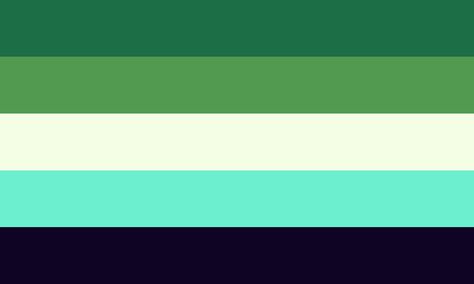 a flag with 5 stripes, from top to bottom; green, lighter green, off-white, light blue, and black. Trans Flag, Gender Flags, Gay Flag, Lgbtq Flags, Lgbt Flag, Lesbian Flag, The Flag, Pride Flags, Wedding Decor