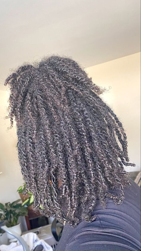 2 Strand Twist Starter Locs Journey, Two Strand Twist Starter Locs Curly Ends, 1 Month Starter Locs, Locs From Two Strand Twists, Two Strand Starter Locs Styles, Two Strand Twist Starter Locs Women, Starter Locs With Two Strand Twist, Two Strand Twist Starter Locs Short 4c Hair, Starter Twist Locs