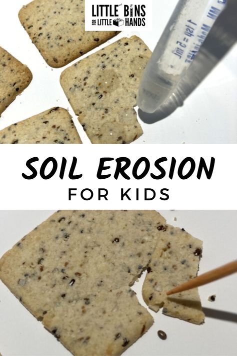 Learn about soil erosion with a fun, hands-on edible science activity that kids are sure to love! Soil erosion for kids is a fun way to include a little earth science into your lessons. Look for the free printable project included to make lesson planning easy! Soil Experiments For Kids, 3rd Grade Science Experiments, Erosion Activities, Soil Activities, Edible Science, Earth Activities, Earth Science Activities, Easy Stem, Soil Conservation