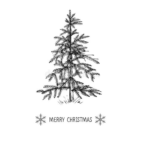 Christmas Scene Drawing, Frame For Text, Drawn Christmas Tree, White Christmas Card, Christmas Invite, Text Illustration, Hand Drawn Christmas, Christmas Tree Card, Merry Christmas Text