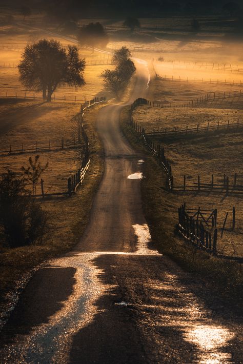 Bosnia Herzegovina, Google Google, Dirt Road, Back Road, Rural Landscape, Sunset Pictures, Country Road, Nature Pictures, Land Scape