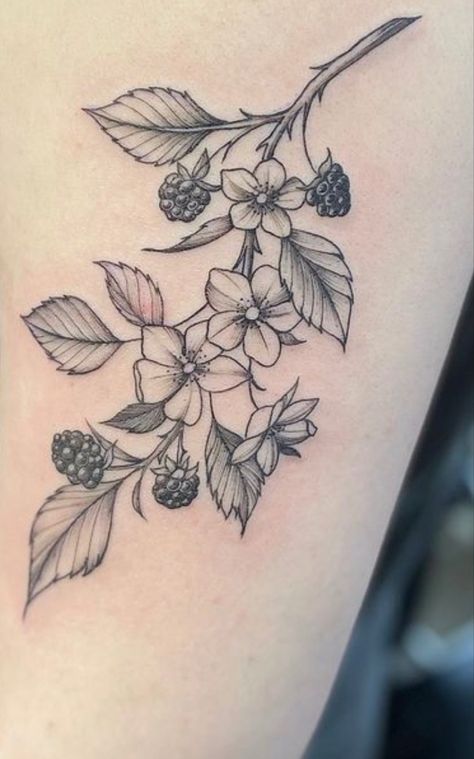 Black And White Raspberry Tattoo, Mulberry Tattoo Black And White, Tattoo Genou, Blackberry Vine Tattoo, Grapevine Tattoo, Tattoos Man, Blackberry Tattoo, Front Shoulder Tattoos, Fruit Tattoo