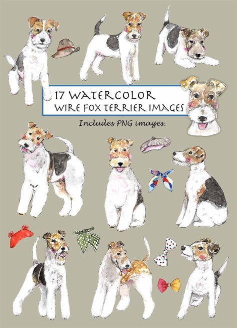 Art Fil, Fox Terriers, Wire Fox Terrier, 강아지 그림, Dog Images, Fox Terrier, Puppy Dogs, Cute Images, Mans Best Friend