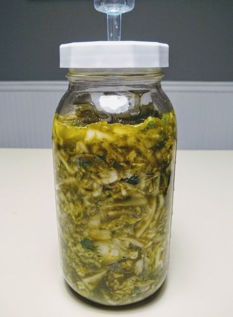 Jalapeño-Cilantro-Lime Green Kimchi Hatch Chili, Fermented Kimchi, Fermenting Weights, Fermenting Jars, Pickled Cabbage, Kimchi Recipe, Fermentation Recipes, Green Salsa, Fermented Vegetables