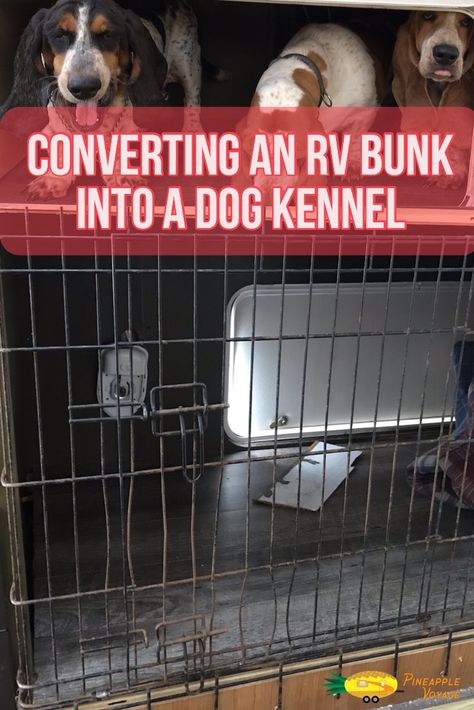 We converted the bottom bunk in our RV into a dog kennel to house our 3 bassets. In the process we also created more storage for their food and supplies. Rv Dog, Camper Dog, Portable Dog Kennels, Puppy Obedience Training, Bottom Bunk, Positive Dog Training, Easiest Dogs To Train, Basic Dog Training, Dog Cage