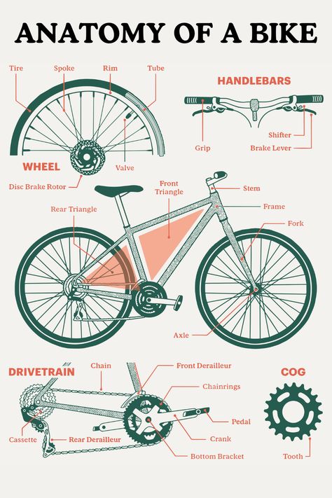 Anatomy of a bike, bicycle parts, bike parts, names of bicycle parts Parts Of Bike, Vintage Bicycle Parts, Bicycle Repair, Bicycle Maintenance, Vintage Bicycle, Bike Repair, Bicycle Parts, Bicycle Design, Vintage Bicycles